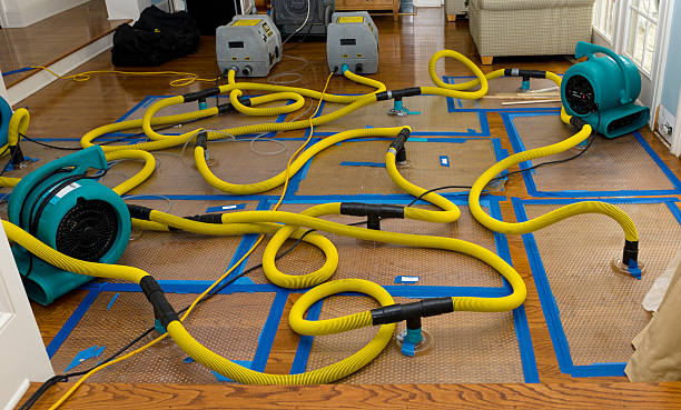 Professional Emergency Water Removal technician working in Littlefield, TX